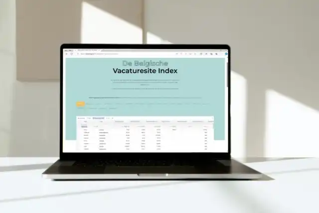 Belgische Vacaturesite Index 2024